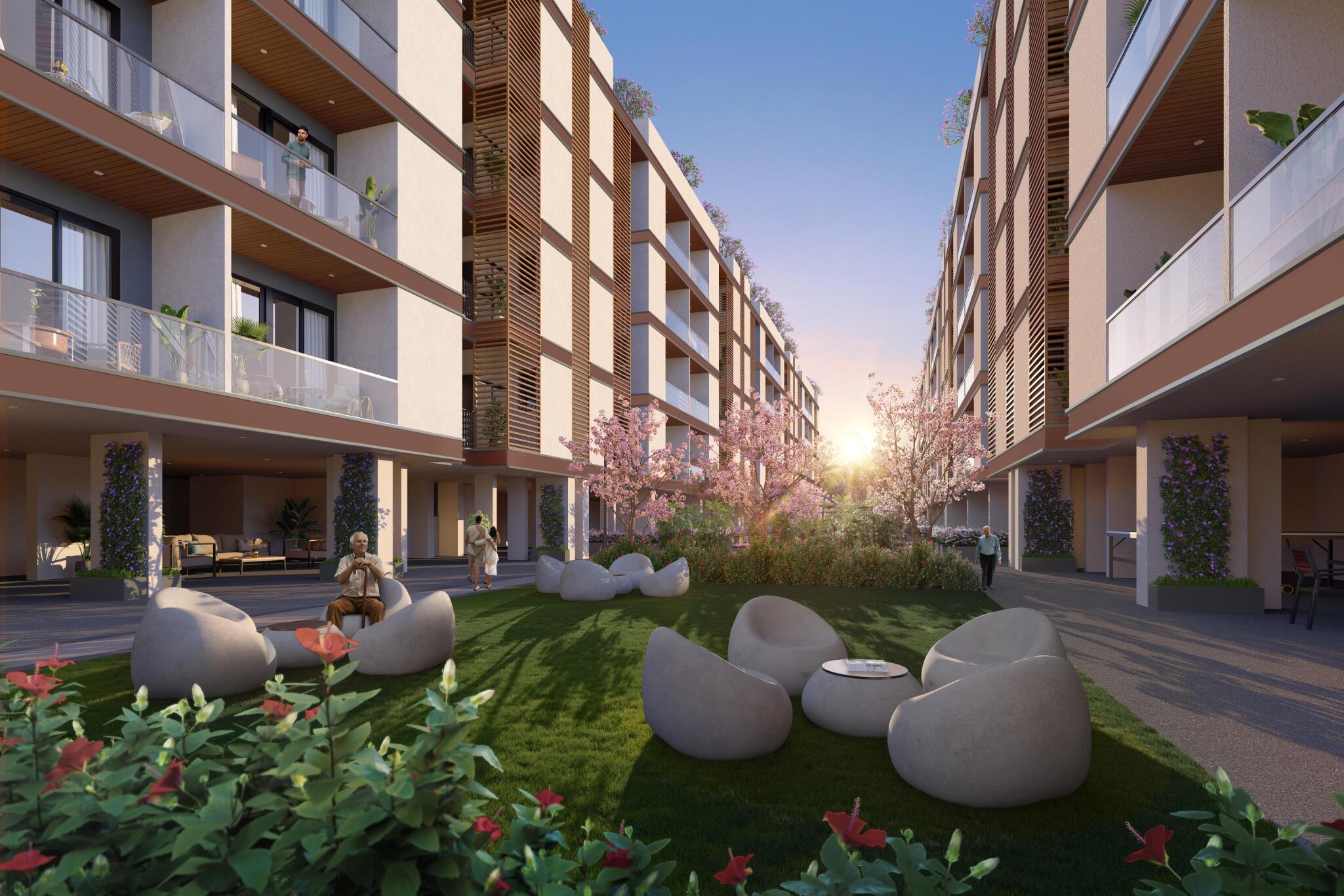 encirjx_1737722452_564086077_optOrig