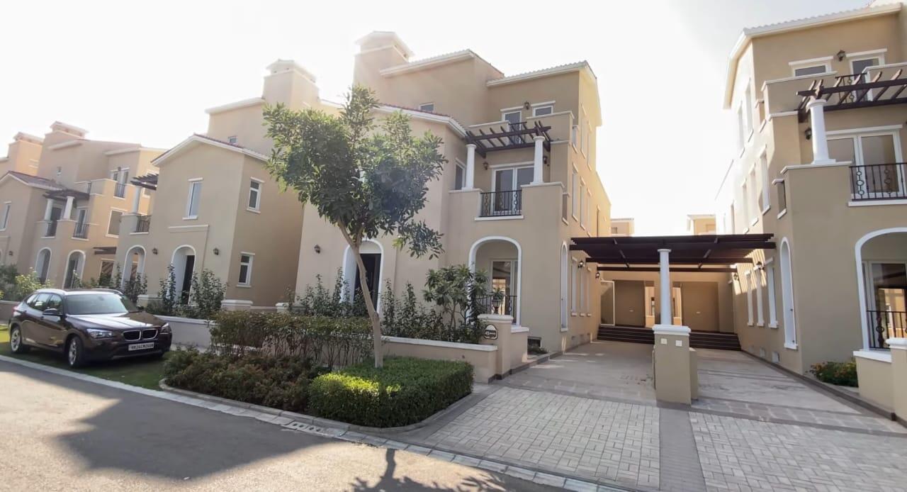 d38npdp_1741848954_577190197_optOrig