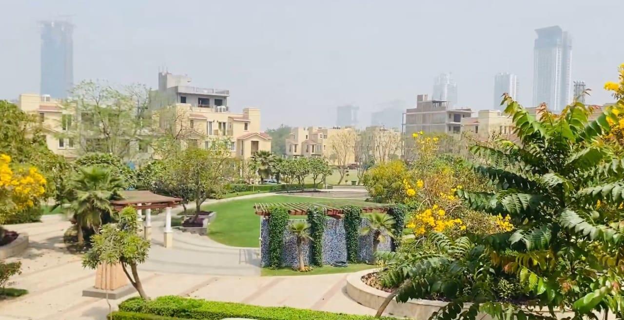 eog7nrc_1741848952_577190175_optOrig