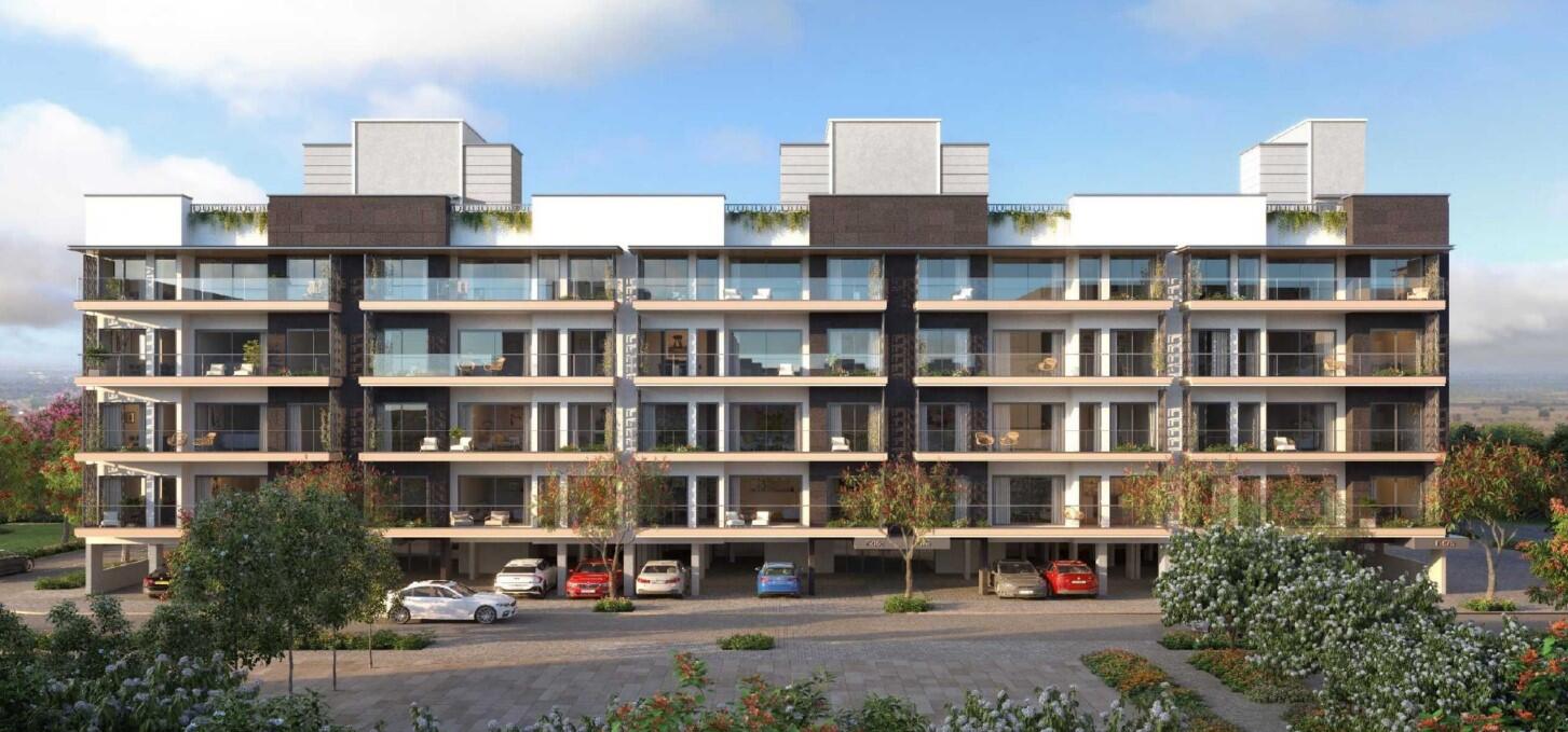 mplj9lw_1741763290_576909437_optOrig