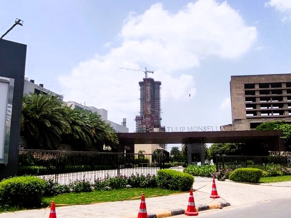 Tulip-Monsella-Golf-Course-Road-Service-road-scaled-qb4ppvmd3kflykw627097dl91bjzsksna2dna96