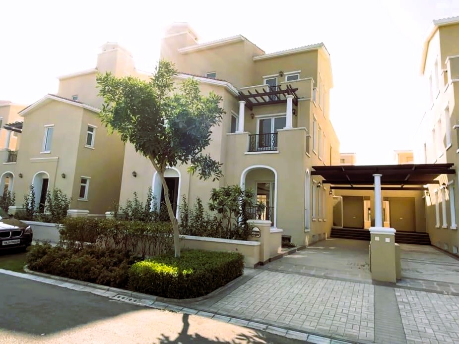 d38npdp_1741848954_577190197-1