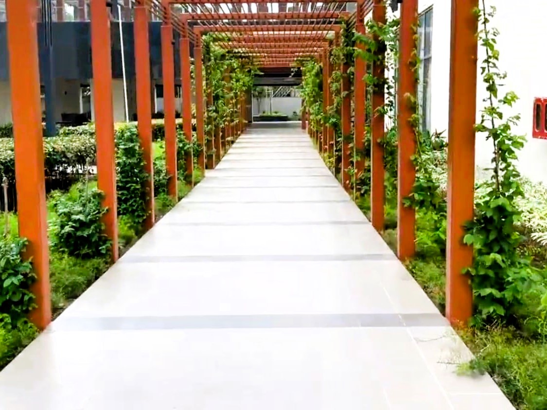 rshkatv_1738648984_566653375-1