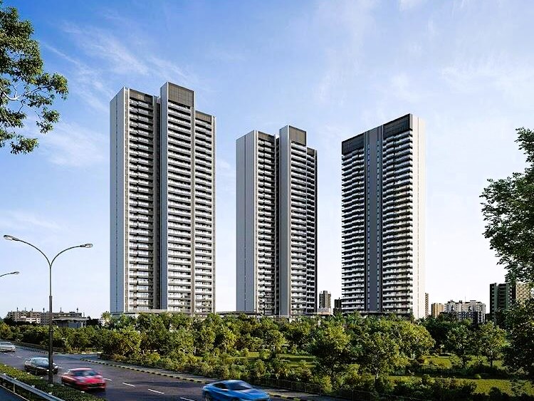 sepx1zy_1737624567_563691949_optO