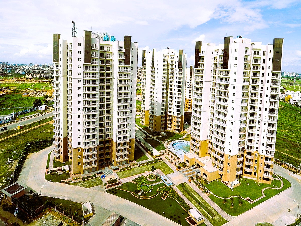 t8vppfg_1732598479_533453203_optOrig