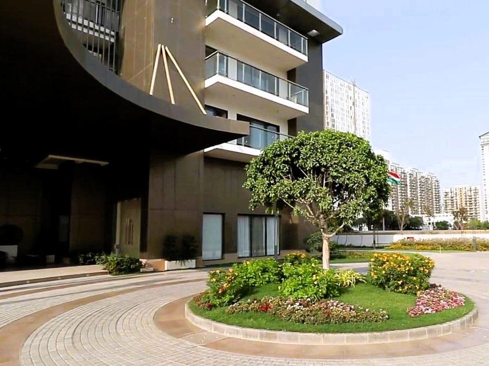 trsy7gi_1739342791_568837445