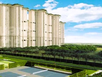 tulip-monsella-sector-53-gurga