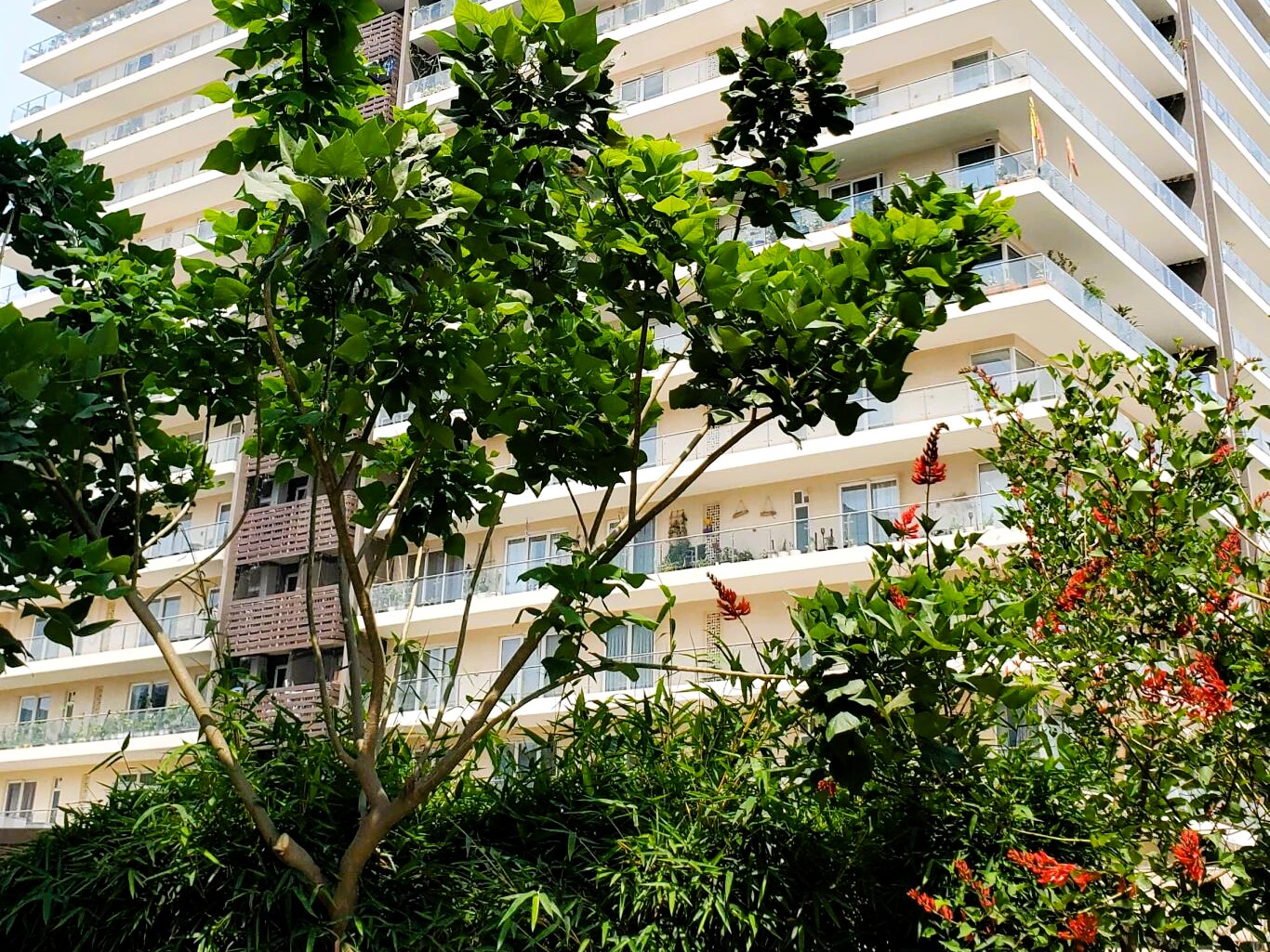 u0csx0b_1747632924_597282973_optOrig