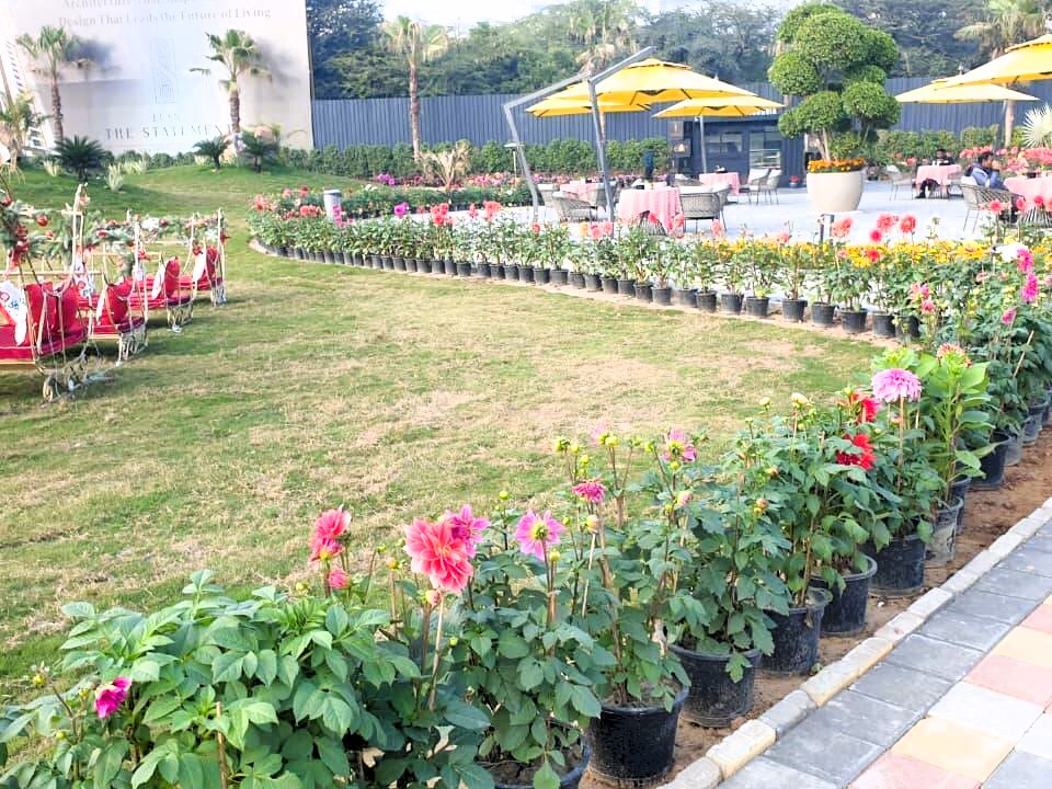 y4k9zia_1767851067_695981493-1