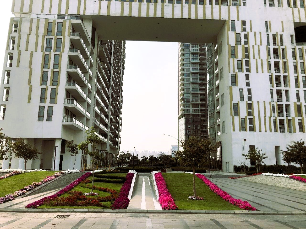 yydmaln_1736254498_552227229