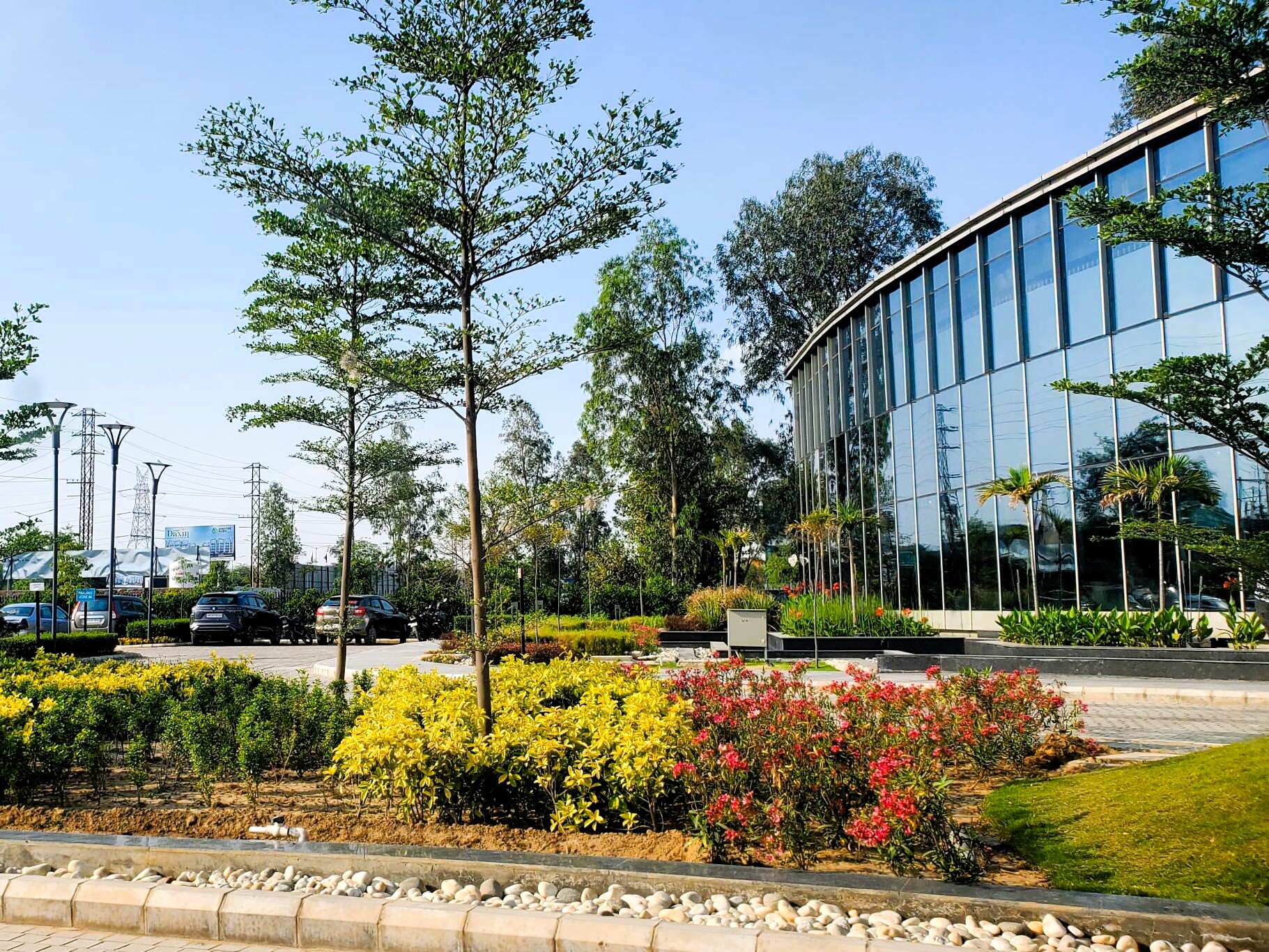 zwjiioz_1750329120_608964669_optOrig